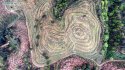 Tea-garden,Liangwang-town,Rongjiang-county,Guizhou.(3).2016-04-07.jpg