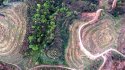 Tea-garden,Liangwang-town,Rongjiang-county,Guizhou.(4).2016-04-07.jpg