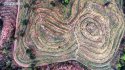 Tea-garden,Liangwang-town,Rongjiang-county,Guizhou.(5).2016-04-07.jpg