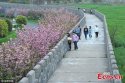 Huaxi-Village,Jiangsu.(4).replica.Great-Wall.jpg