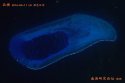 Beijiao.北礁.North.Reef.2016-04-11_L8-satview.(2).infrared.jpg