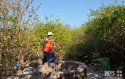 Ganquan.甘泉岛.Robert.0.2016-04-11_(3).island-well-freshwater.jpeg