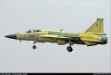 JF-17 229 + IFR-probe - side XL.jpg