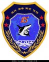 J-15 unit badge maybe.jpg