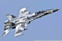 US Navy's F-A-18 Hornet aggressor.jpg