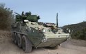 Stryker с 30-мм.jpg