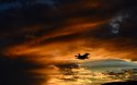 F-16 USA Fighting Falcon flies over Aviano AB, Italy.jpg