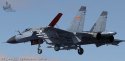 J-11C CG nice 3.jpg