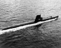 USS_Catfish;0833910.jpg