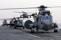HMS Ocean to support UK and US aviation operations in support to #CTF50 in the Gulf.jpg