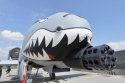 US A-10 Warthog .jpg