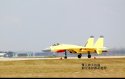 J-15 yellow 27.4.11 - 1.jpg