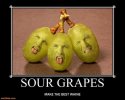 sour-grapes-sour-grapes-whine-demotivational-posters-1452228243.jpg