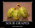 sour-grapes-sour-grapes-whine-demotivational-posters-1452228243.jpg sour-grapes-sour-grapes-whine-demotivational-posters-1452228243.jpg