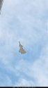 J-20A yellow - 20170706 part XL.jpg