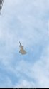 J-20A yellow - 20170706 part XL.jpg