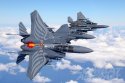 USAF Seymour Johnson's Strike Eagle Wing.jpg