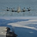 JMSDF P-3C over the Okhotsk Sea.jpg