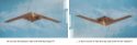 strange wing UAV.jpg