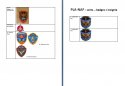 PLAAF - badges 3.jpg
