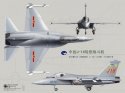 L-15 - Q-6 concept.jpg