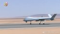 Egypt AF Wing Loong I - 1.jpg