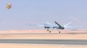 Egypt AF Wing Loong I - 2.jpg