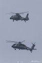 Z-19 + Z-20 for parade - 20190923 -  Via @前站起飞.jpg