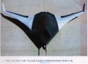 SAC Sharp Sword UCAV maybe.jpg