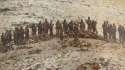 Pla__blades_Ladakh.png