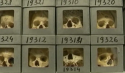 1603982447790.png