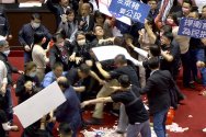 TW - parliament fight 1.jpg