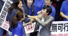 TW - parliament fight 4.jpg