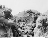 Gallipoli aussie dead.jpg