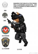 Chinese SWAT 9_99.jpg