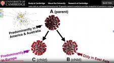 Coronavirus - strains 2.JPG