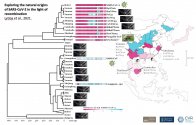 CVR virus sequencing.jpg