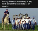 US - slave present day.jpg