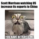 FB_IMG_1628668171363.jpg