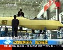 Wing Loong - Pterodactyl in factory 1.jpg