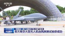 翼龙10-3.jpg