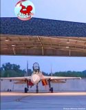 J-11BG allegedly 63x0x - 19. Brigade.jpg