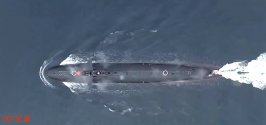 039G torpedoes 1.jpg