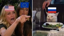 ru feline ban.jpg
