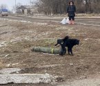 Javelin in Ukraine.jpg