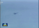 J-11A 33. Div - drone kill 1.gif