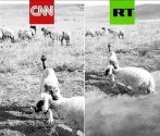 Western fake news vs RT.jpg