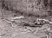 [Capture-Of-Tengchong_Japanese-Casualties-{10_4_1944}].jpg