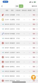 domestic flights.jpg