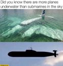 images (49).jpeg